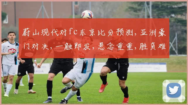 蔚山现代对fc东京比分预测,亚洲豪门对决,一触即发,悬念重重,胜负难料,拭目以待。