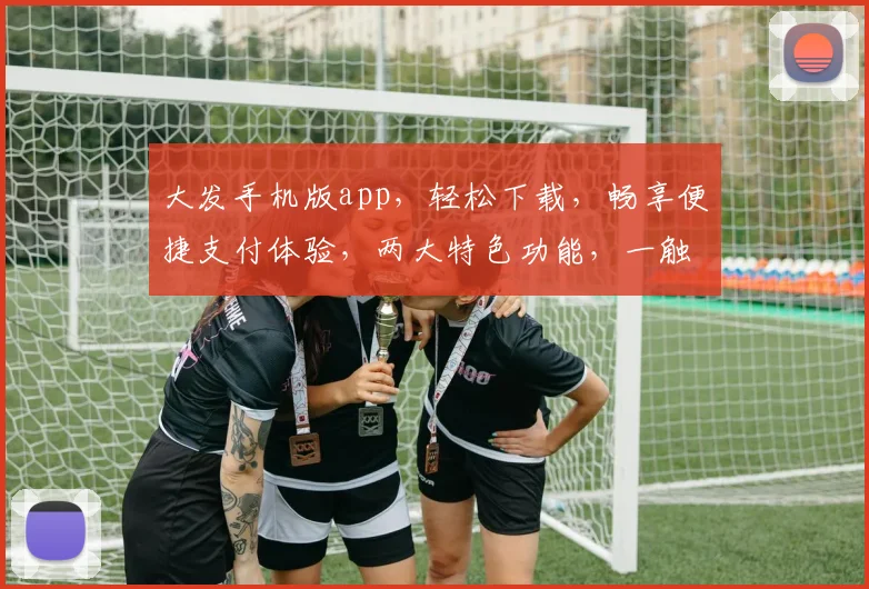 大发手机版app，轻松下载，畅享便捷支付体验，两大特色功能，一触即达