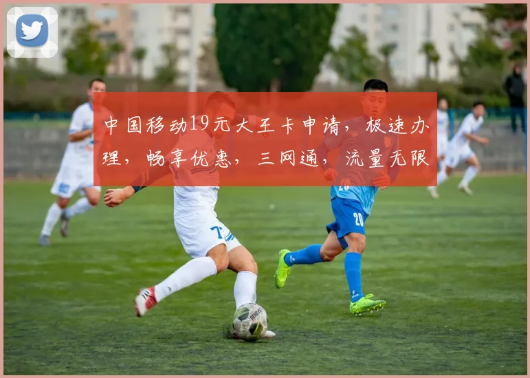 中国移动19元大王卡申请，极速办理，畅享优惠，三网通，流量无限逗逗逗