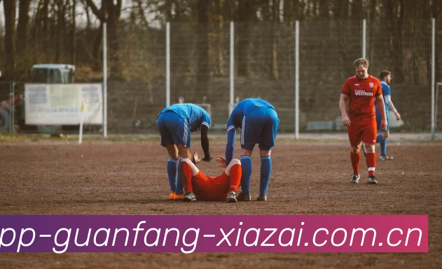 数据分析功能